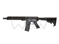taurus 1006.jpg