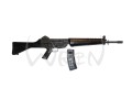 sar02.jpg