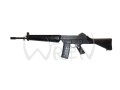 sar03.jpg