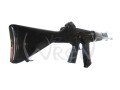 sar13.jpg