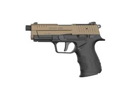 22LR  PISTOLET RXP22 BLACK
