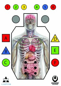 TARCZA ORGAN IPSC