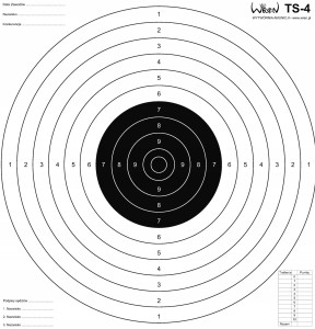TARCZA PISTOLET SPORTOWY 50X50 